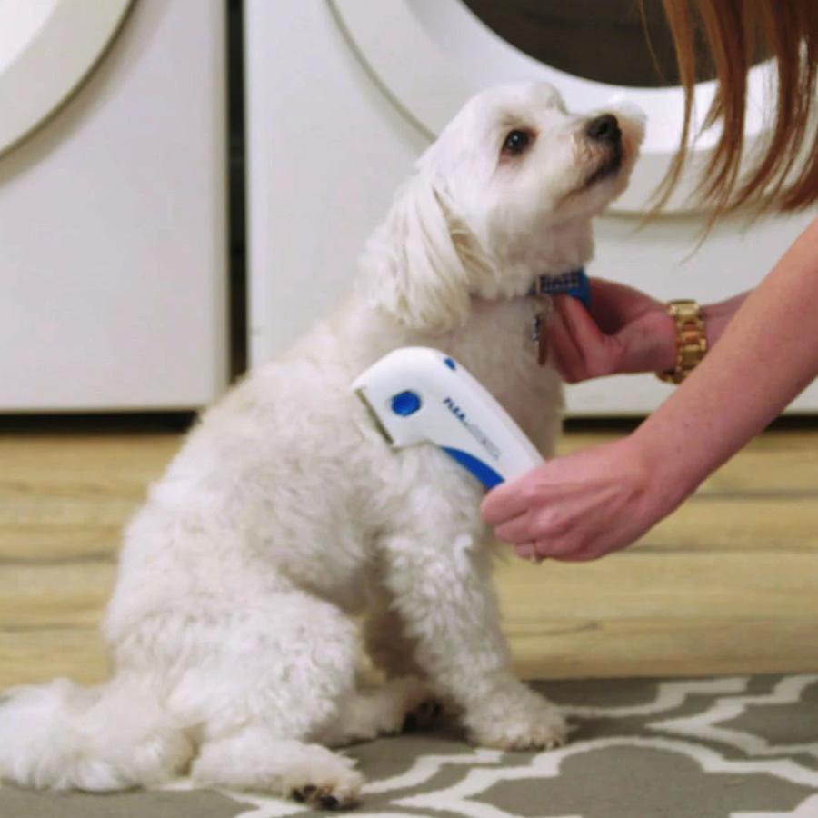 FLEA KILLER ELECTRIC COMB - GREAT DOCTOR FOR PETS + PET HAIR REMOVER